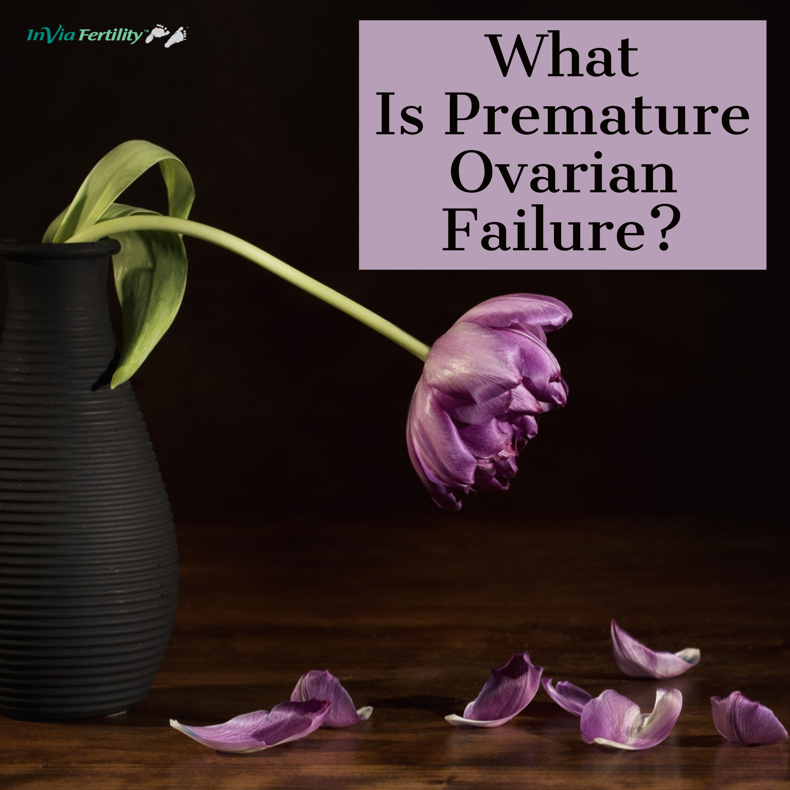 top-10-facts-about-the-causes-of-premature-ovarian-failure